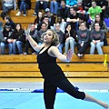 Vivace Guard 022710